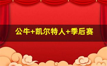 公牛 凯尔特人 季后赛
